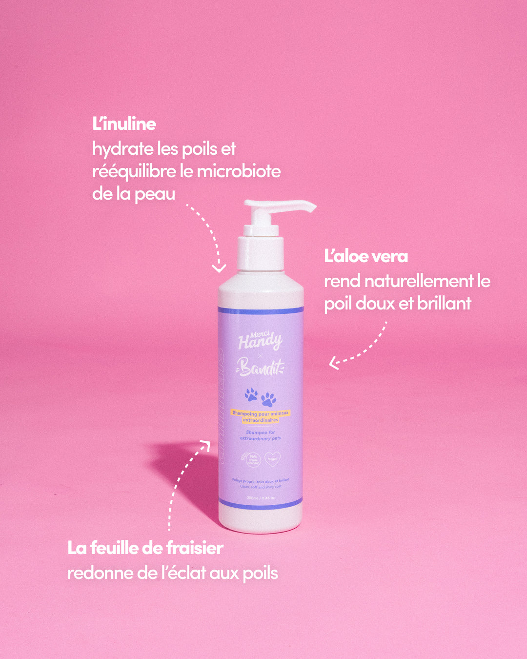 Master Pack Bandit: Shampoo + Soft toys