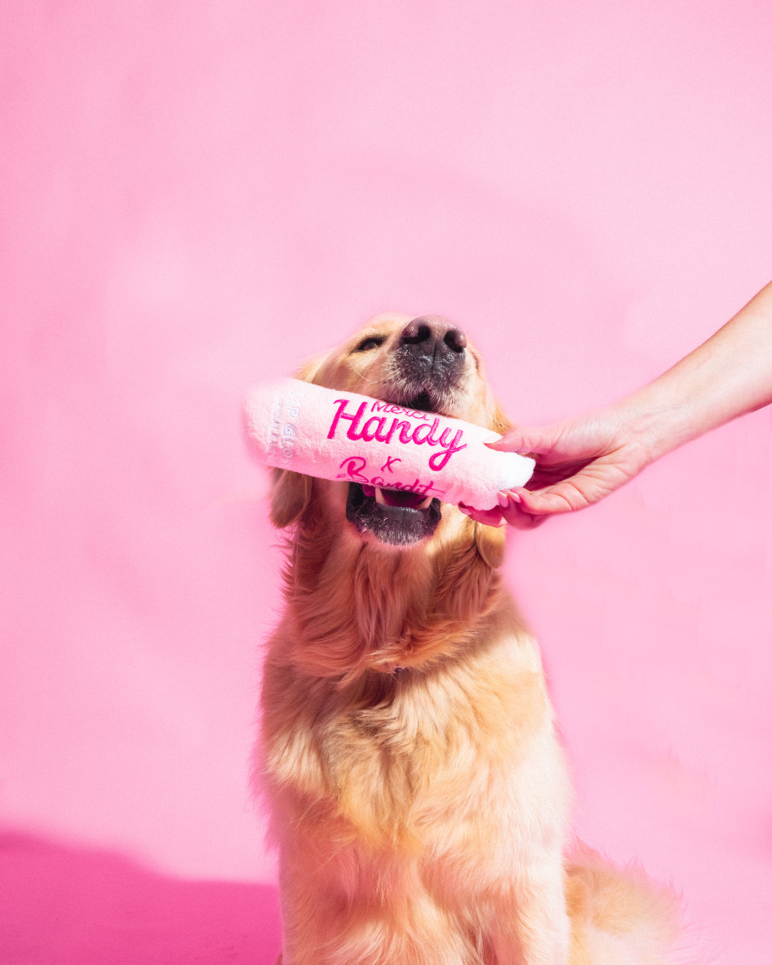 Toy Lip Gloss x Bandit