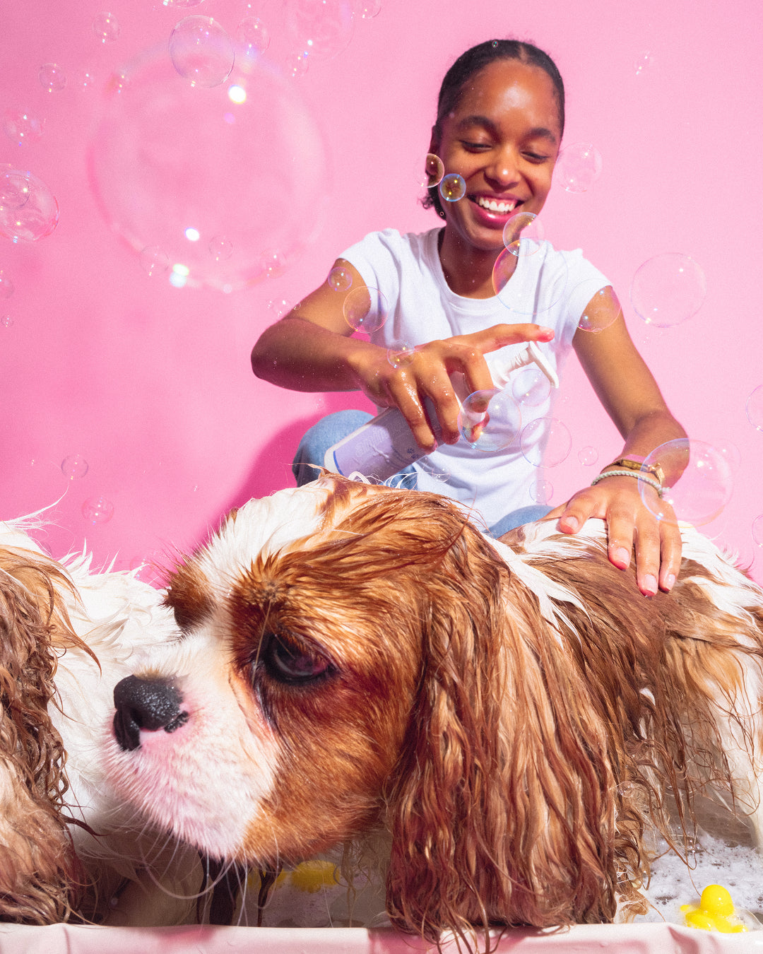Master Pack Bandit: Shampoo + Soft toys
