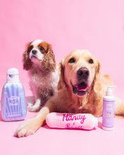 Master Pack Bandit : Shampoing + Peluches