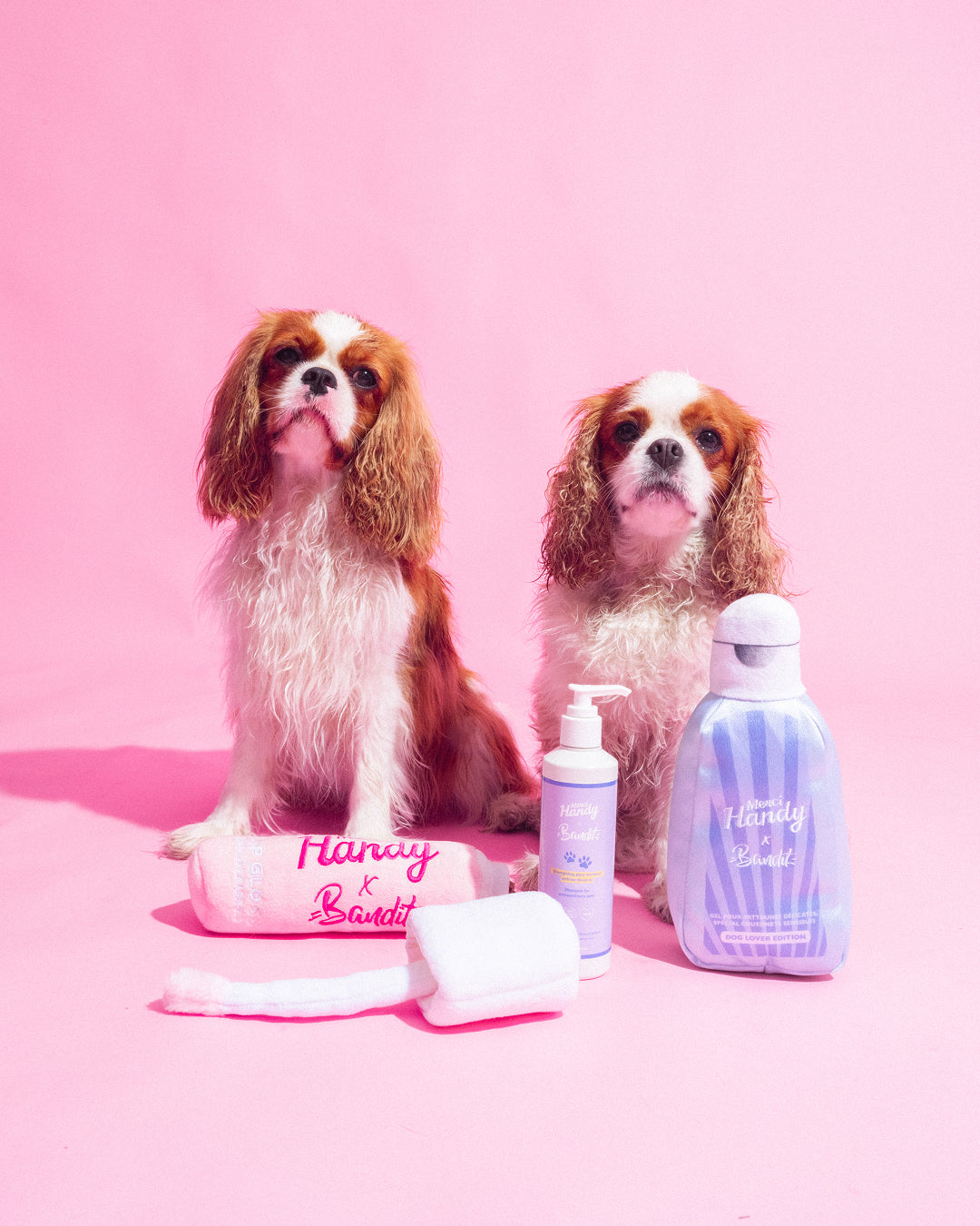 Toy Lip Gloss x Bandit