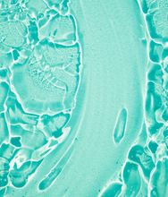 Miracle Skincare Set